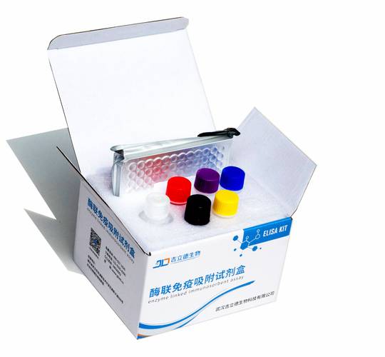 斐林试剂怎么读 斐林试剂怎么读 拼音